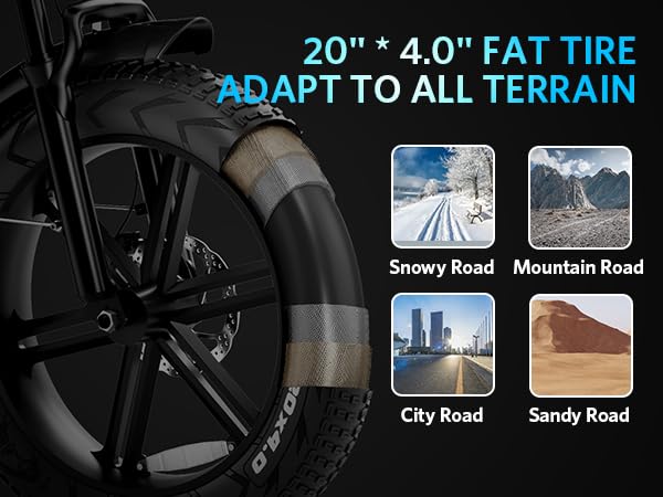 Electric Bike with 20" Fat Tire, 7-Speed Gear, Removable Battery E789548