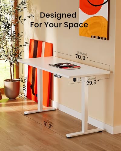 48 x 24 Inches Height Adjustable Electric Standing Desk with Memory F174