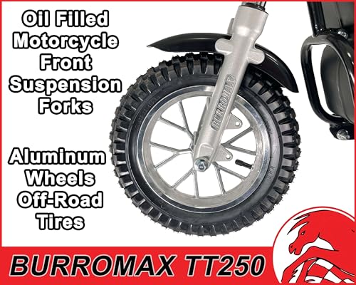 Electric Dirt Bike, 250w 24v 7ah, 2 Speeds, 14 Mph V675365