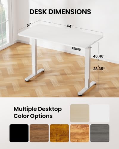 48 x 24 Inches Height Adjustable Electric Standing Desk with Memory F174