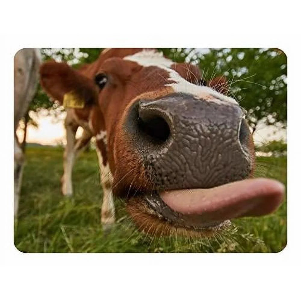 Quarter Sheet Cake Edible Image F54931