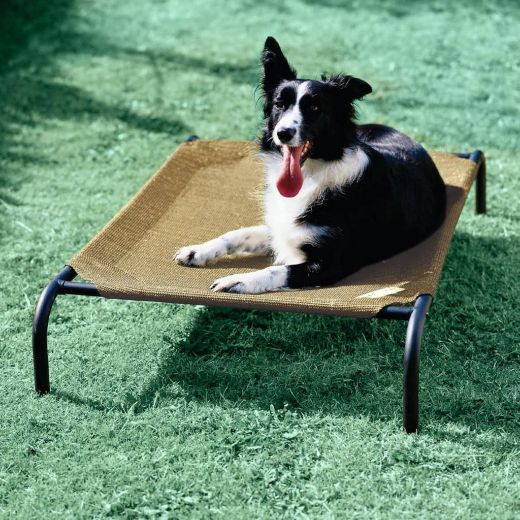 Elevated Large Pet Bed Desert Sand C8281