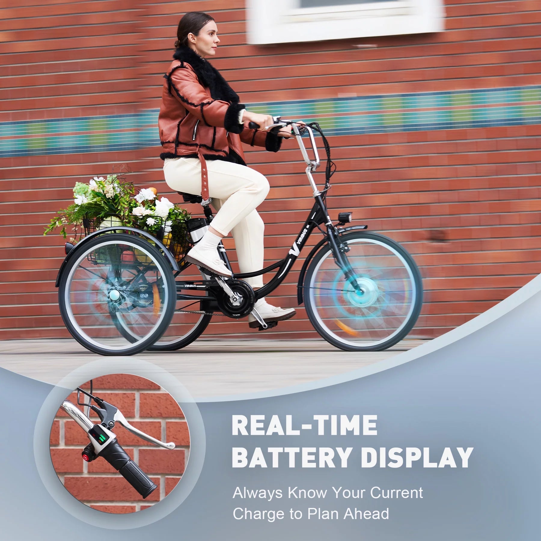 250W 26" 3 Wheel Electric Tricycle Black Y5162