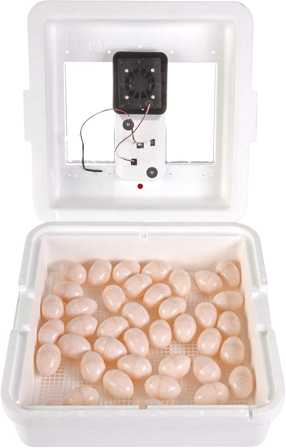 41 Egg Incubator with Temperature and Humidity Control D1904