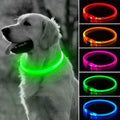 Rechargeable LED Dog Collar A465567