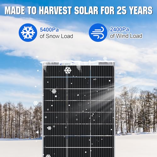 195 Watt 12 Volt Monocrystalline Double-Sided Solar Panel L33598