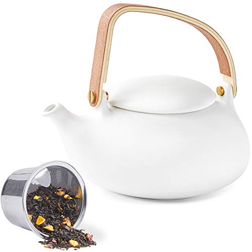 27 oz Ceramic Japanese Teapot with Fine Stainers and 4 Cups I1804