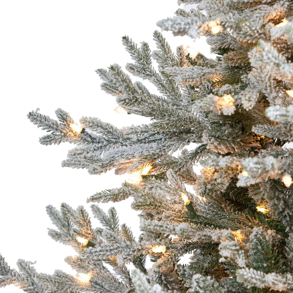 Flocked Fraser Fir Christmas Tree with 600 Warm White Lights Y97377