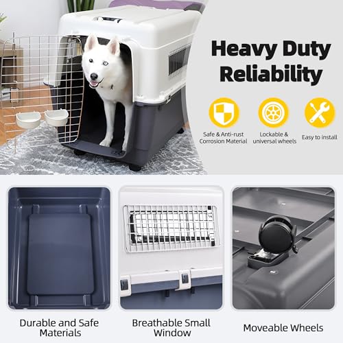Plastic Airline Approved Travel Dog Crate, Medium R680