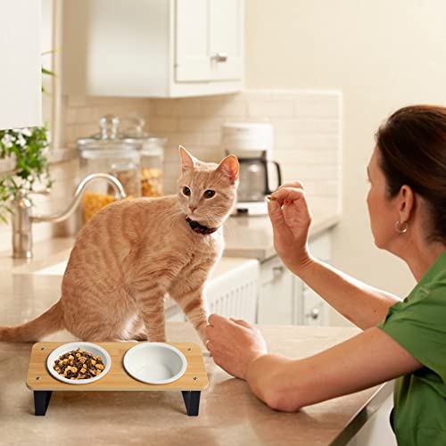 Ceramic Cat Bowl with Stand 15° Tilted Raised Cat Bowl Bamboo Cat Feeding Station Z2630