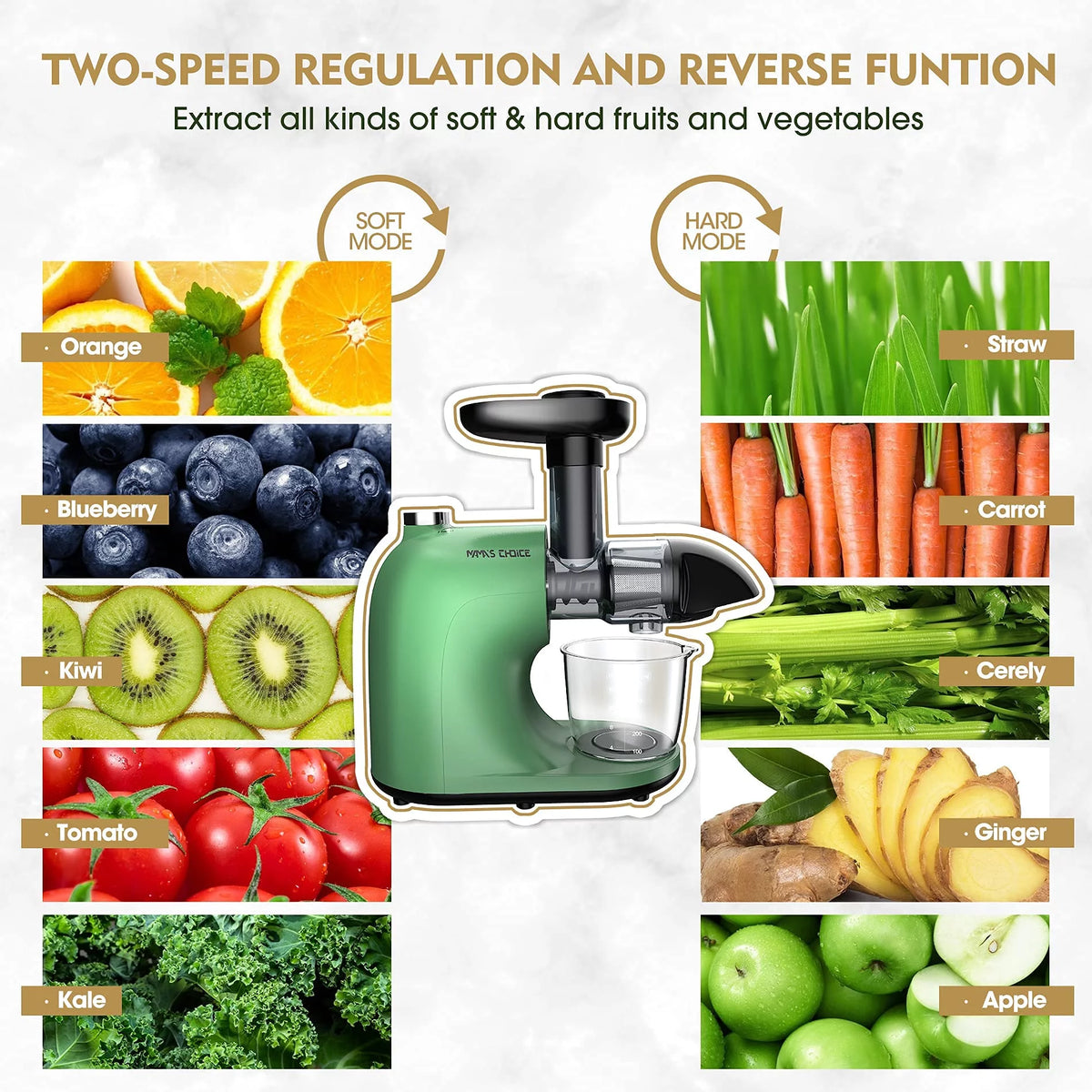 Slow Masticating Cold Press Juicer E4124