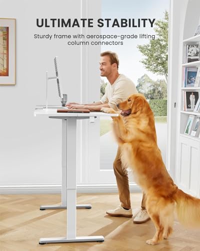 48 x 24 Inches Height Adjustable Electric Standing Desk with Memory F174