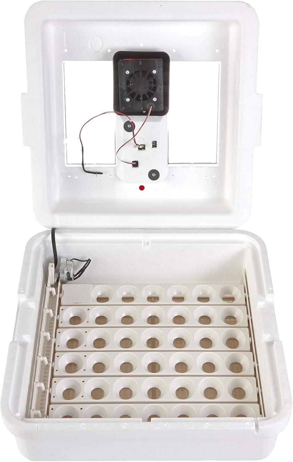 41 Egg Incubator with Temperature and Humidity Control D1904