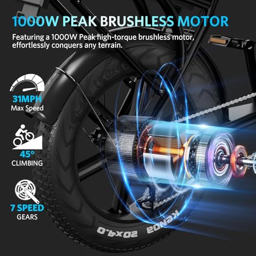 Electric Bike with 20" Fat Tire, 7-Speed Gear, Removable Battery E789548