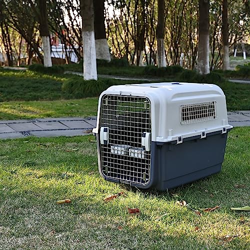 Plastic Airline Approved Travel Dog Crate, Medium R680