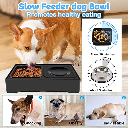 2-in-1 Elevated Slow Feeder Dog Bowls with Non-Skid Silicone Mat U248