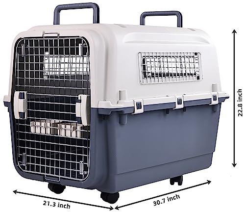 Plastic Airline Approved Travel Dog Crate, Medium R680