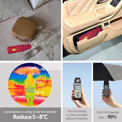 Compact Mini Umbrella with Case V254198