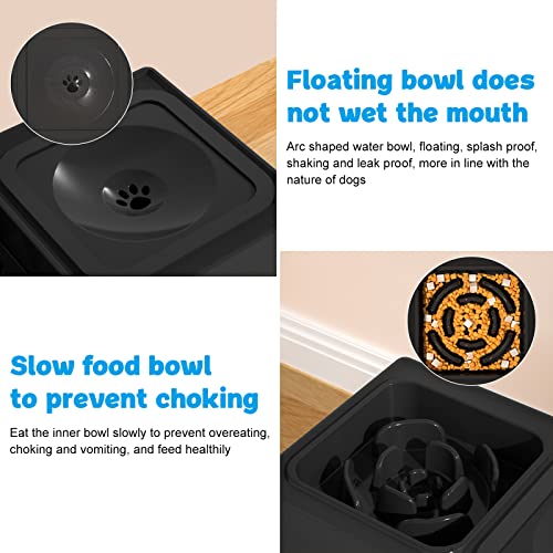 2-in-1 Elevated Slow Feeder Dog Bowls with Non-Skid Silicone Mat U248