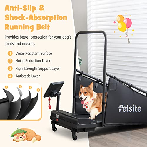 Dog Treadmill with LCD Display Screen, 220 LBS K169085