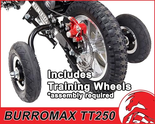 Electric Dirt Bike, 250w 24v 7ah, 2 Speeds, 14 Mph V675365