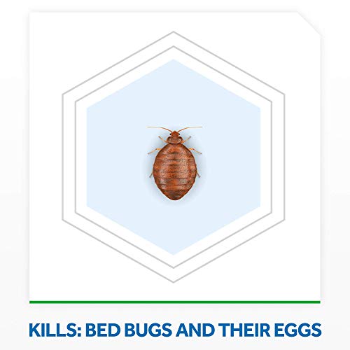16.5 oz Bed Bug Foaming Spray F8251