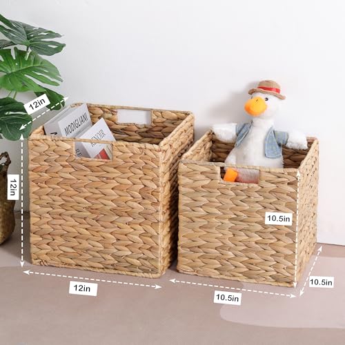 Water Hyacinth Wicker Storage Baskets Set of 3 C732900