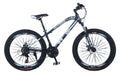 26 Inch Steel Mountain Bike O362