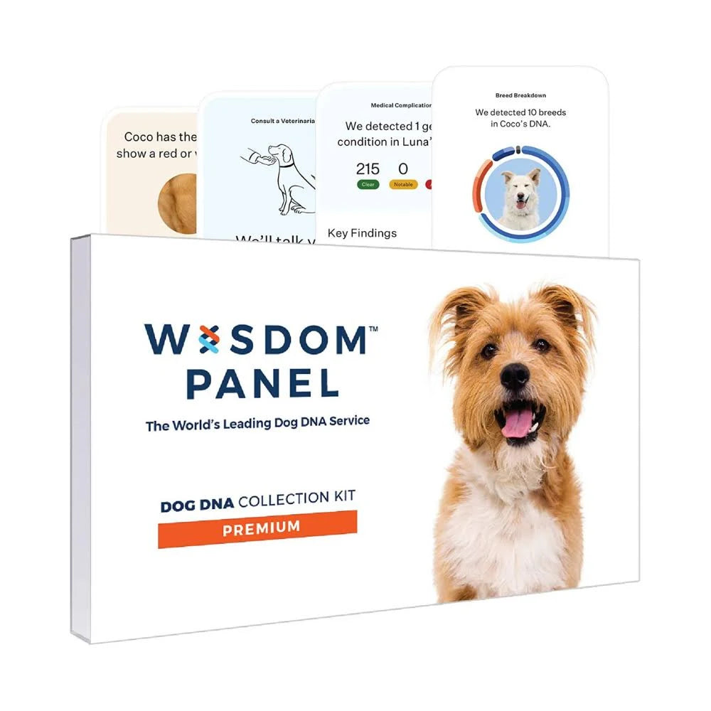 Dog Breed Identification DNA Test Kit N562