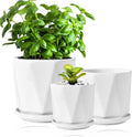 Set of 3 White Ceramic Plant Pots with Saucer Y9508