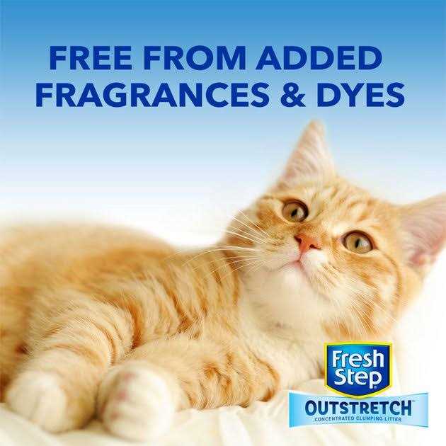 Concentrated Clumping Cat Litter Unscented Y23378