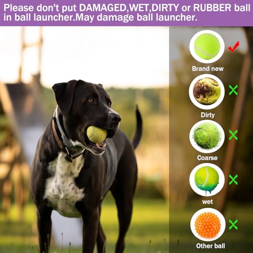 Automatic Dog Ball Thrower Launcher with 3 Launching Distance H93401