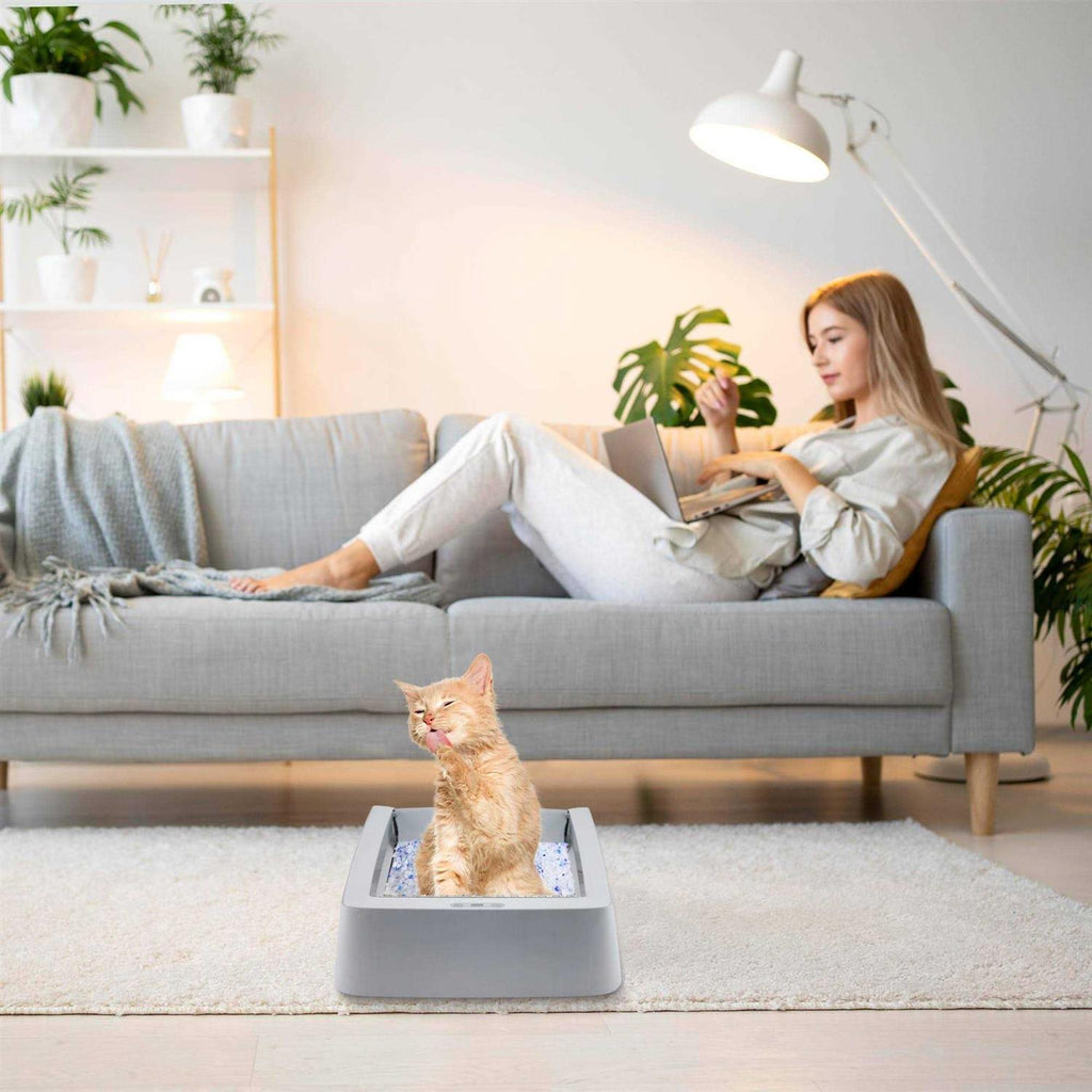 Stainless Steel Reusable Litter Tray J62216