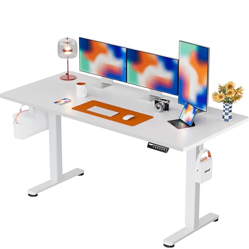 48 x 24 Inches Height Adjustable Electric Standing Desk with Memory F174