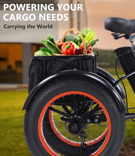 Electric Tricycle with 500W Motor, 20"x4.0" Fat Tire, 48V15Ah Battery L5718