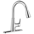 Polished Chrome Pull-Down Kitchen Faucet W638641