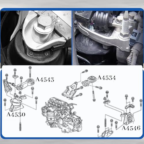 Set of 6 Engine Motor and Transmission Mount Kit F494