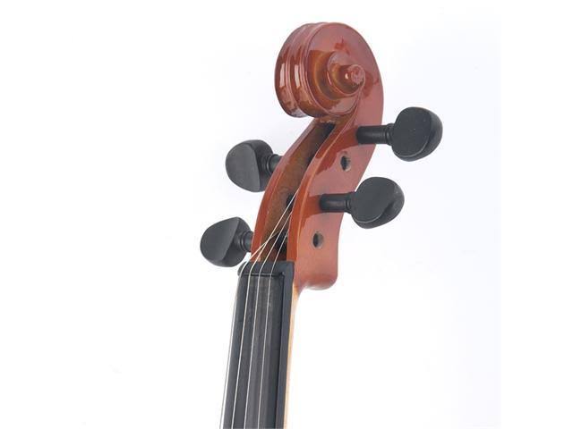 14-inch Solid Wood Viola with Case, Bow, Rosin, Bridge and Strings E51079