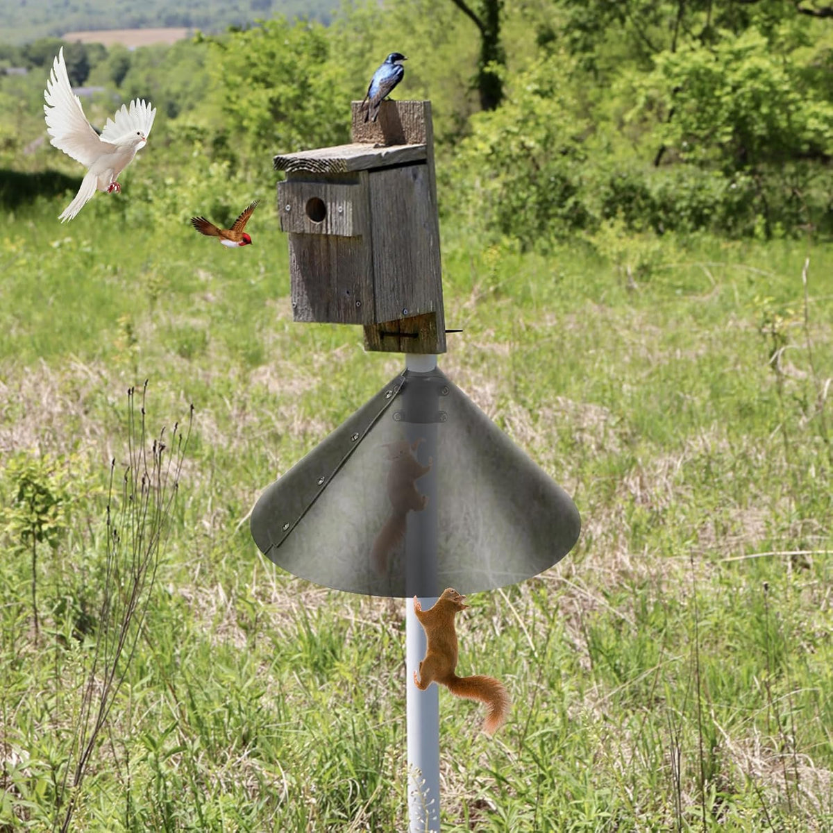 2 Pack Squirrel Baffle Accessory for Bird Feeder Pole N241
