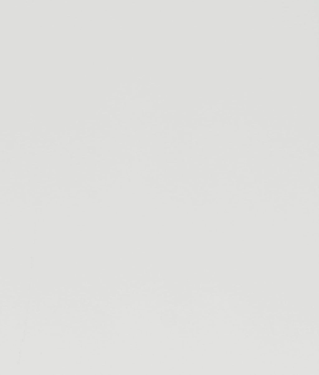 White High Gloss Finish Full Bed with Faux Leather Upholstered Headboard N981296