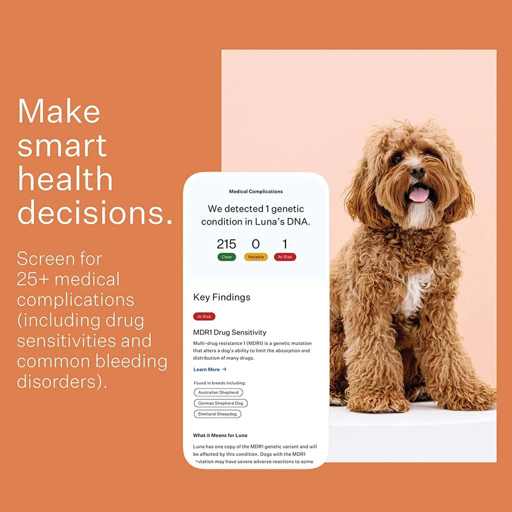 Dog Breed Identification DNA Test Kit N562
