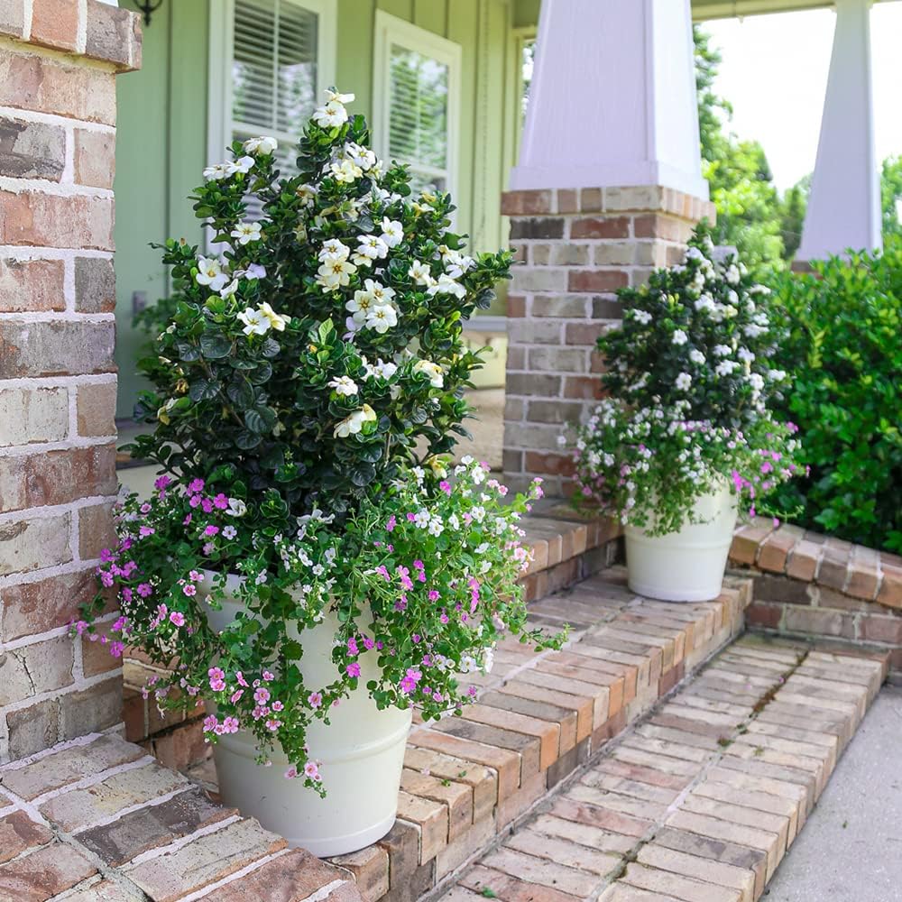 2.5 Quart White Gardenia O680