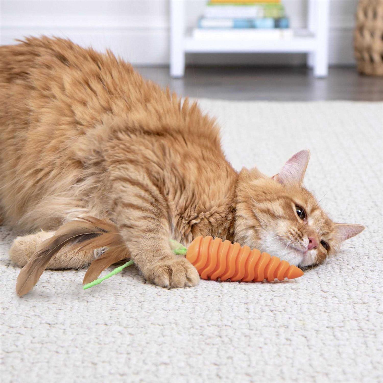 Cat Grooming Toy A12391