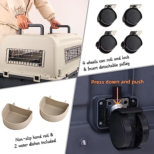 Plastic Airline Approved Travel Dog Crate, Medium R680