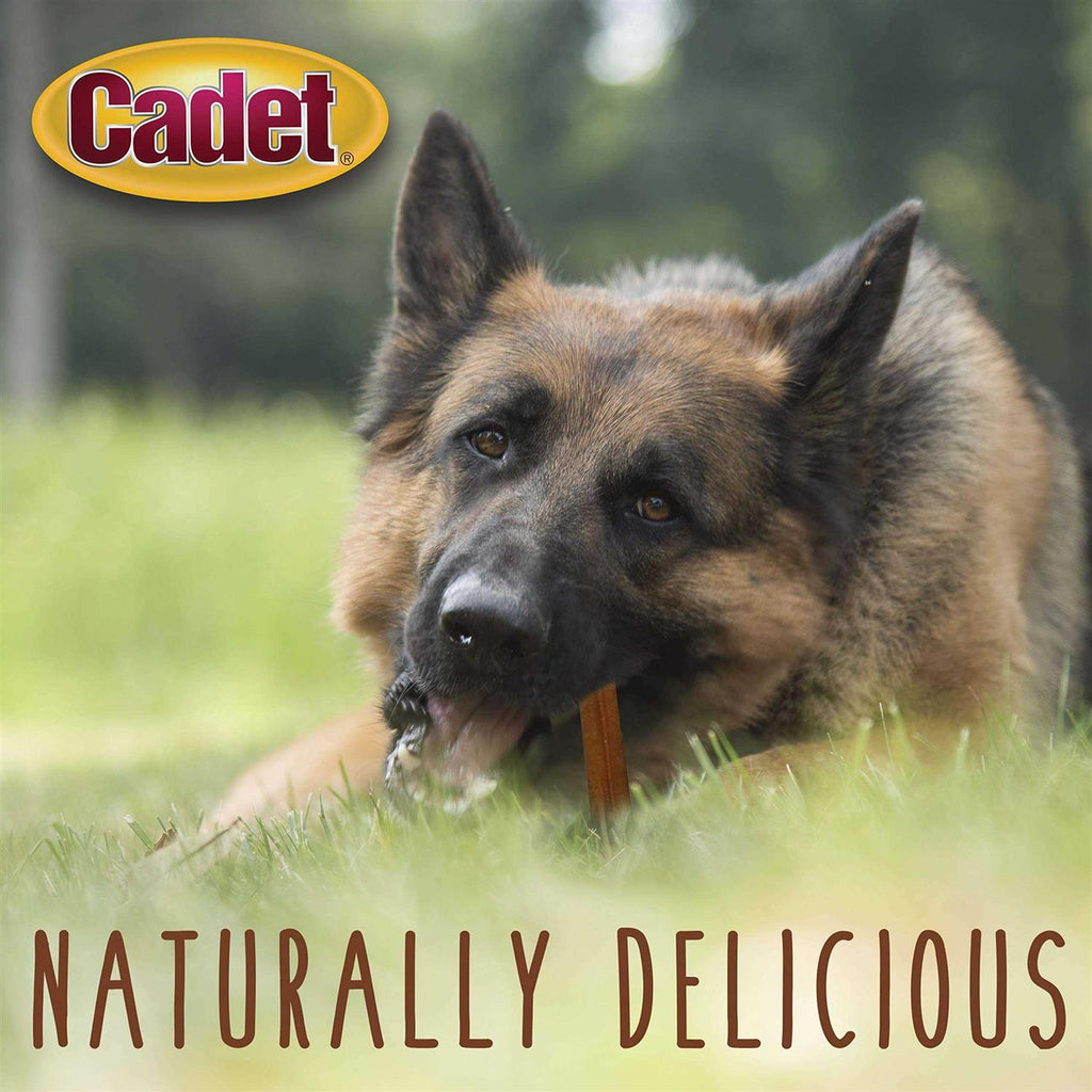 Bully Dog Sticks Treats N87839