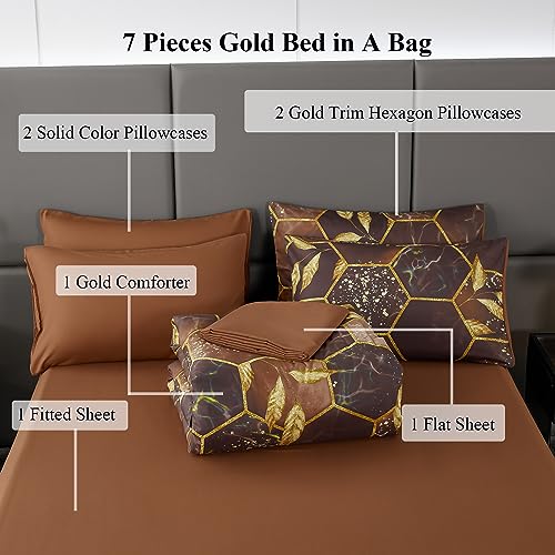 Geometric Black Queen Comforter Set 7 Pieces Z691378