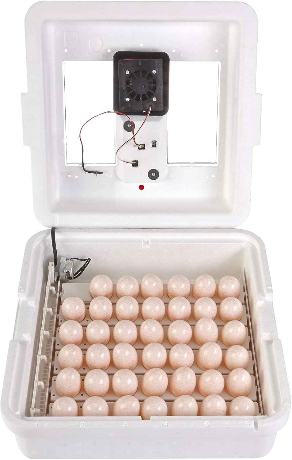 41 Egg Incubator with Temperature and Humidity Control D1904