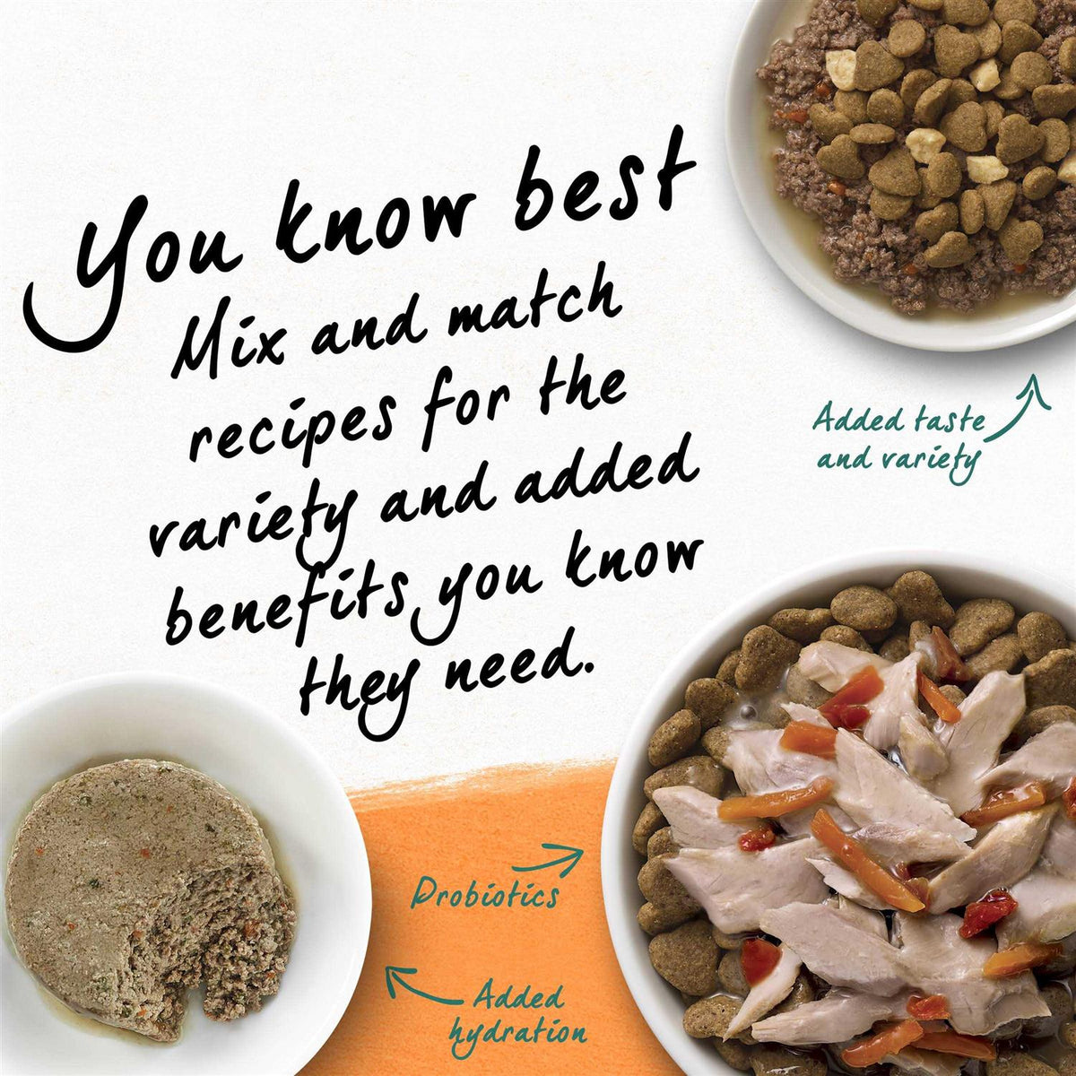 Grain Free White Meat Chicken & Egg Recipe Natural Dry Cat Food C2926