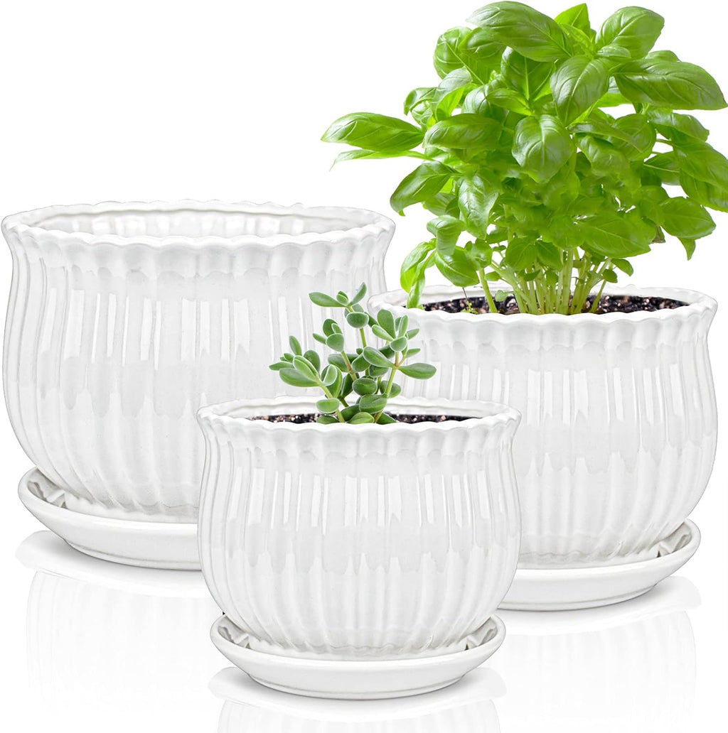 Ceramic Flower Plant Pots with Saucer, Set of 3 in Different Sizes Q396