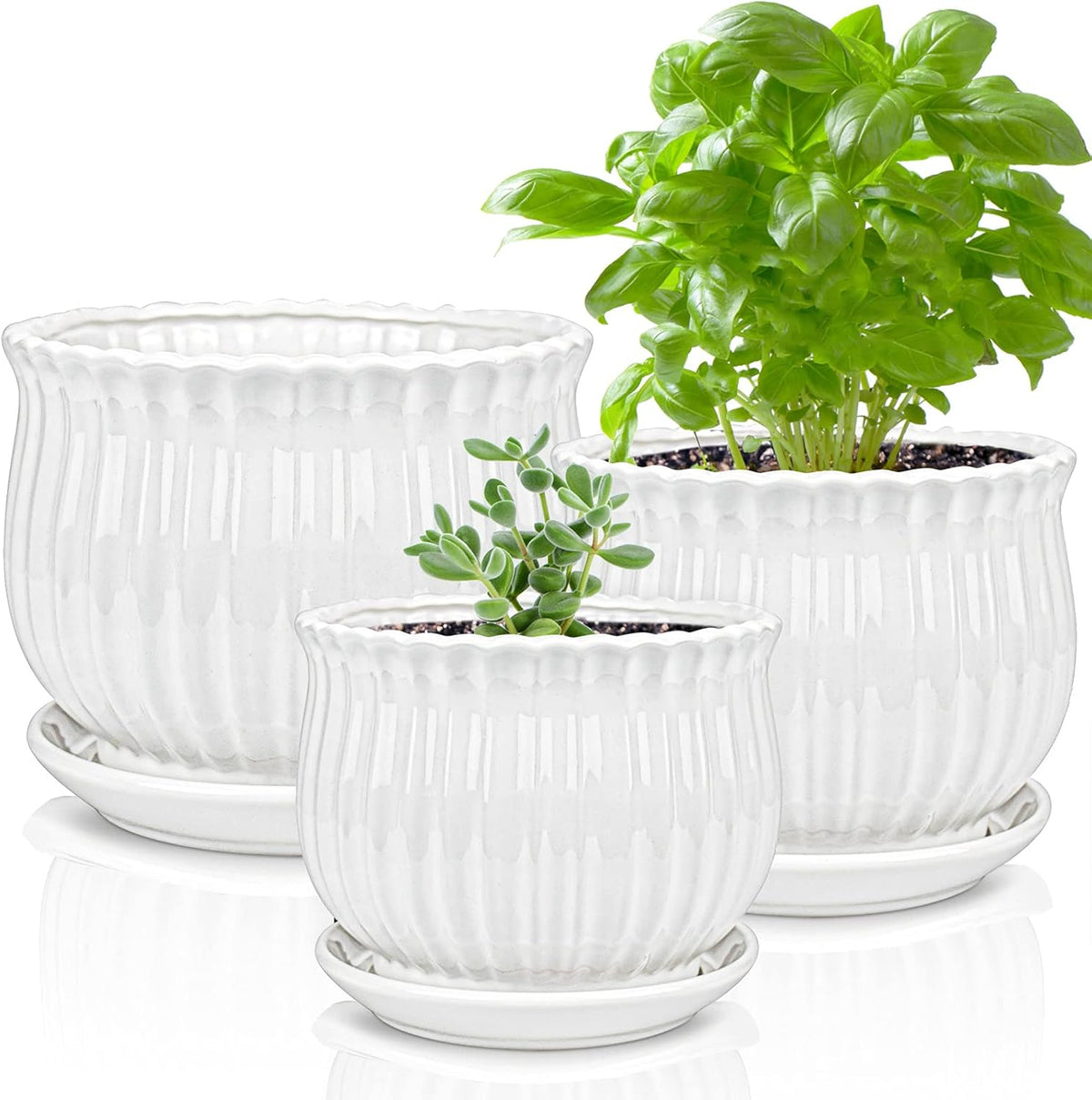 Ceramic Flower Plant Pots with Saucer, Set of 3 in Different Sizes Q396